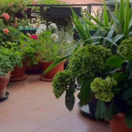 Guest house Naturist Single For Man Sitges